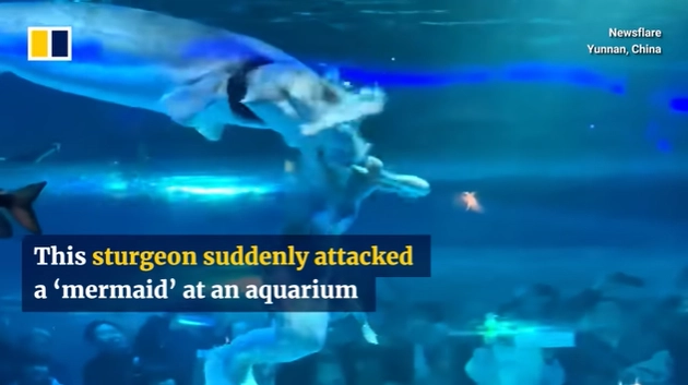 Did That Really Happen? 10 News Stories From 2025 That Left Everyone Stunned