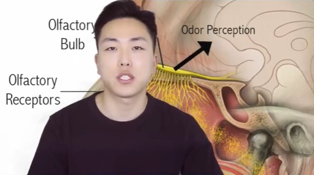 From Mouse Dung to Magic: 10 Truly Bizarre Attempts to Reverse Baldness