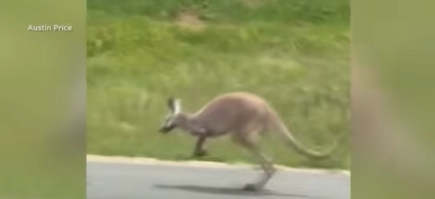 Did That Really Happen? 10 News Stories From 2025 That Left Everyone Stunned