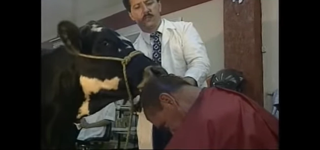 From Mouse Dung to Magic: 10 Truly Bizarre Attempts to Reverse Baldness