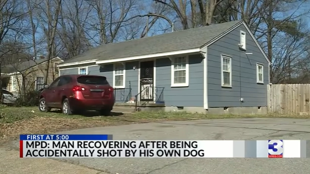 Did That Really Happen? 10 News Stories From 2025 That Left Everyone Stunned